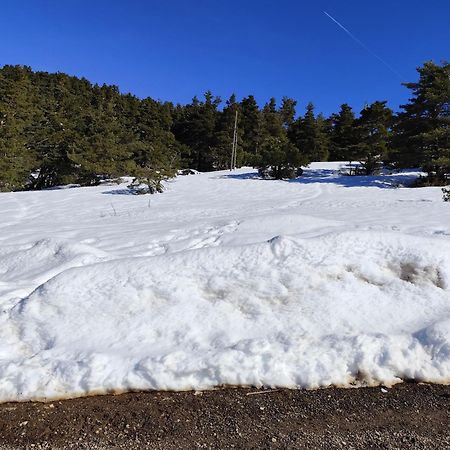Appartement Greoliere Les Neiges Avec Exterieur グレオリエール エクステリア 写真